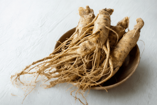 Racine de ginseng 