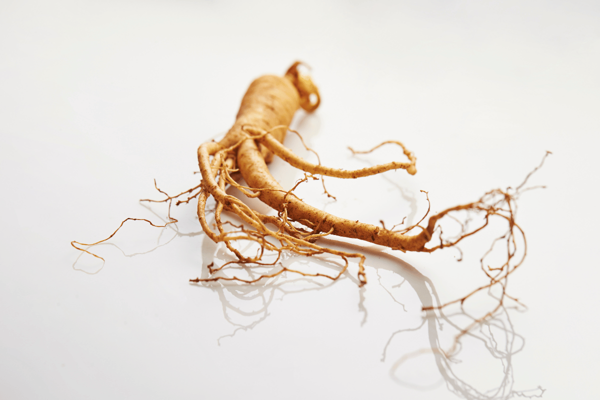 Ginseng effet immédiat 