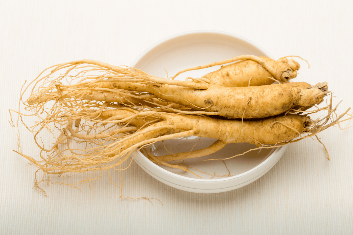 Ginseng bienfaits 