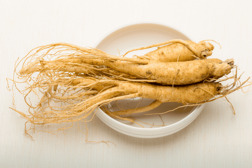 Ginseng bienfaits 